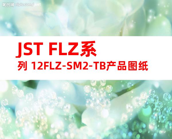 JST FLZ系列 12FLZ-SM2-TB产品图纸